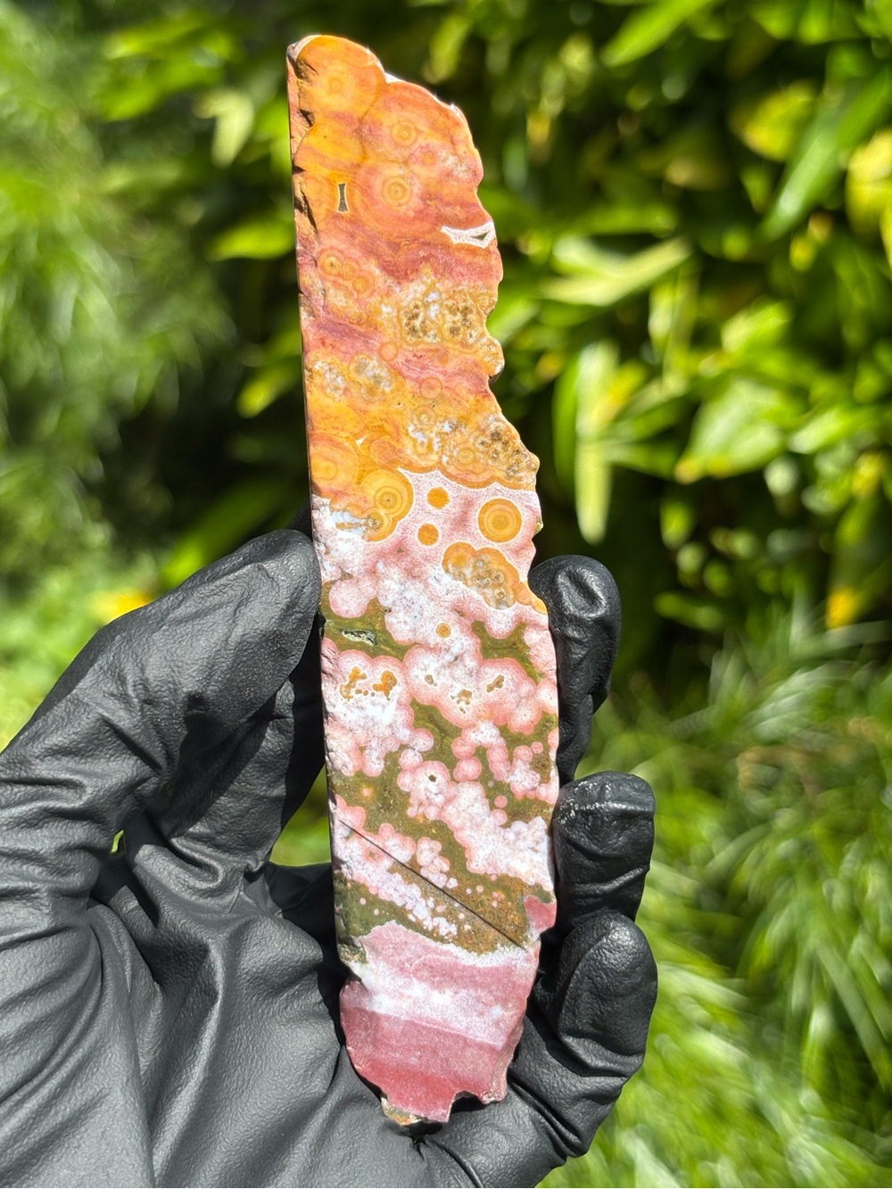 Ocean Jasper Crystal Slab - Polished Sea Jasper - Orbicular Jasper
